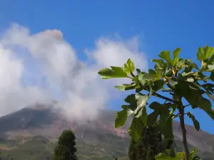 Il Vulcano a Piedi Guide Stromboli