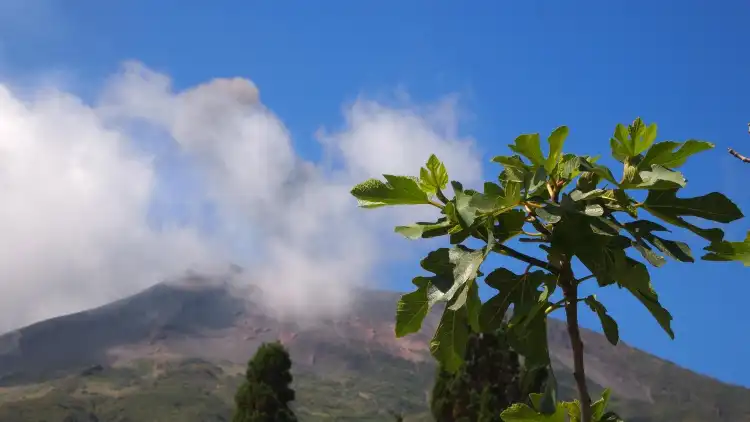 Hotels in der Nähe von Il Vulcano a Piedi - Stromboli Excursions Organizer