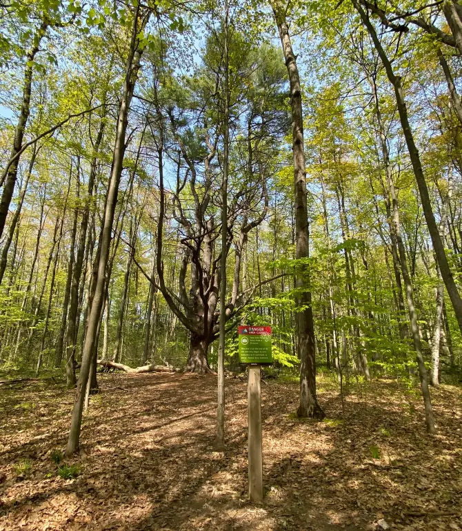 South Burlington