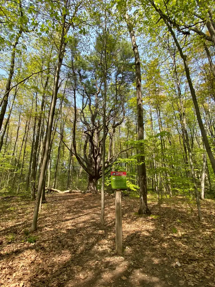 Các khách sạn ở South Burlington