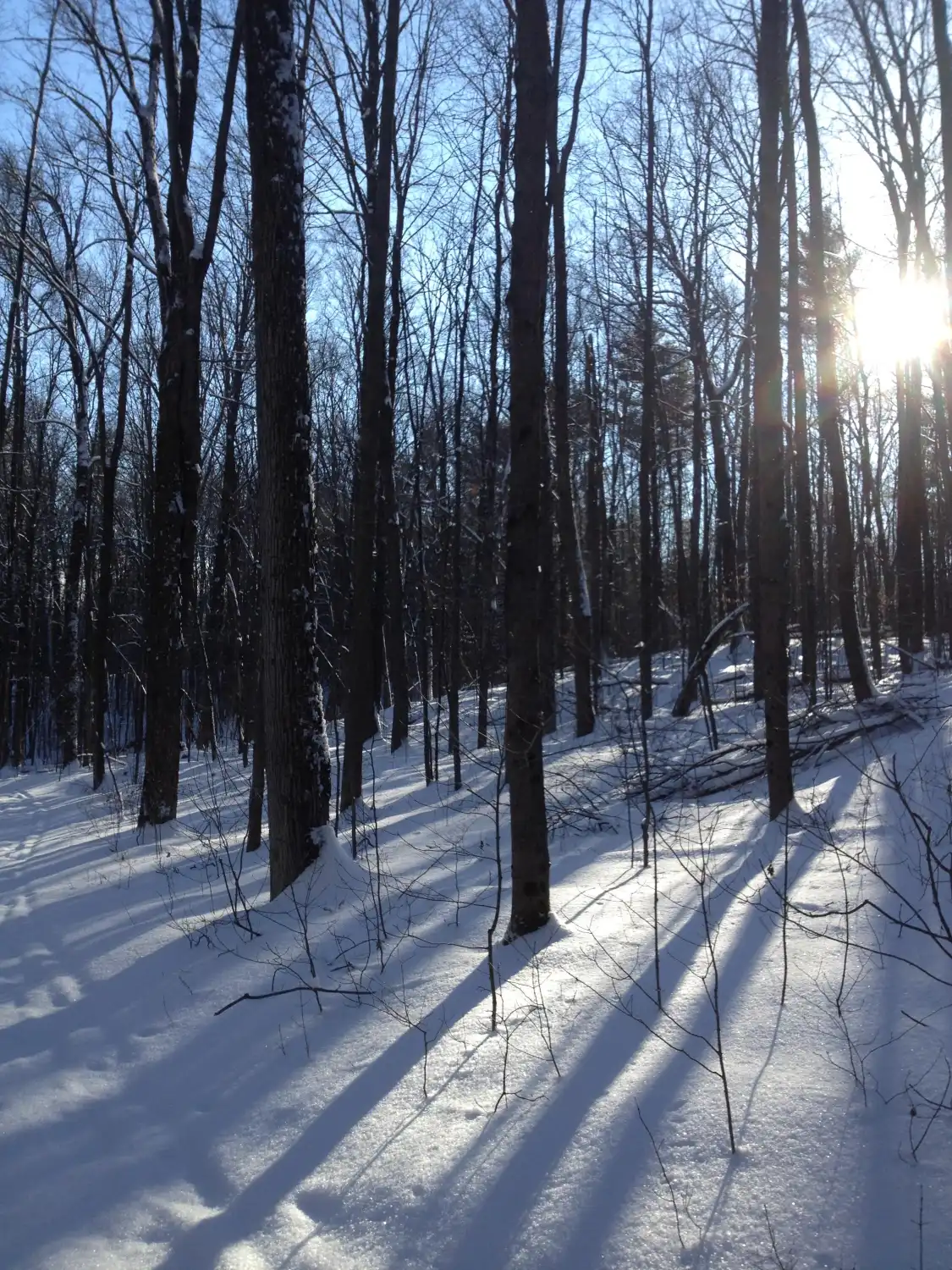 Hotels in der Nähe von Ganaraska Forest