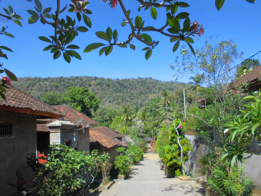 5_Tenganan Ancient Village