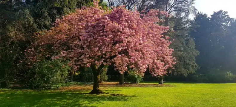 Penginapan Best Western Plus di Cinisello Balsamo