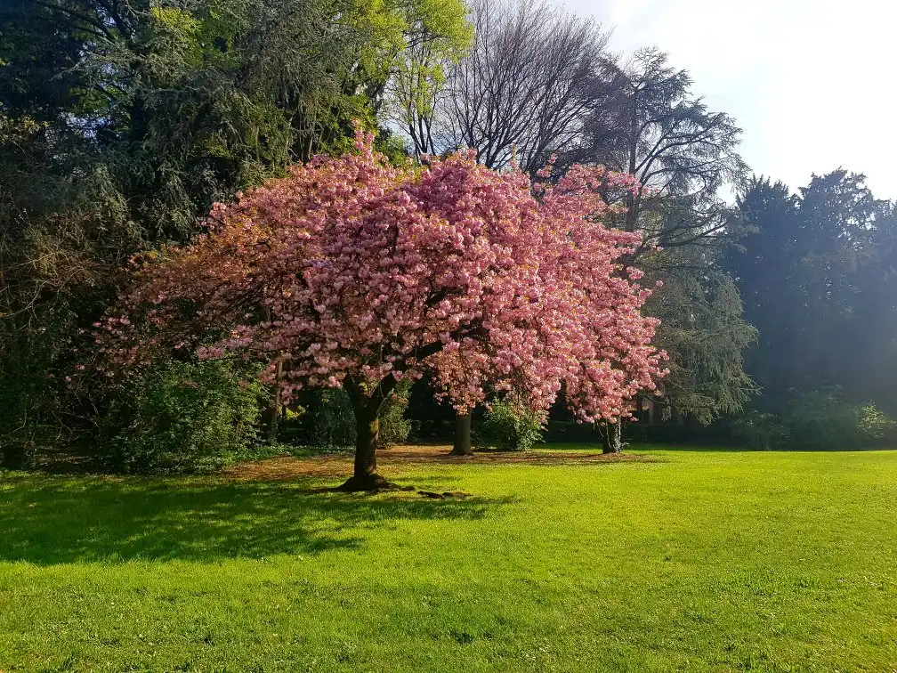 Các khách sạn gần Villa Ghirlanda Silva