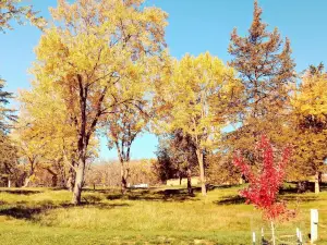 Lake Wapello State Park