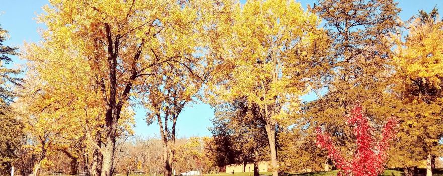 Lake Wapello State Park