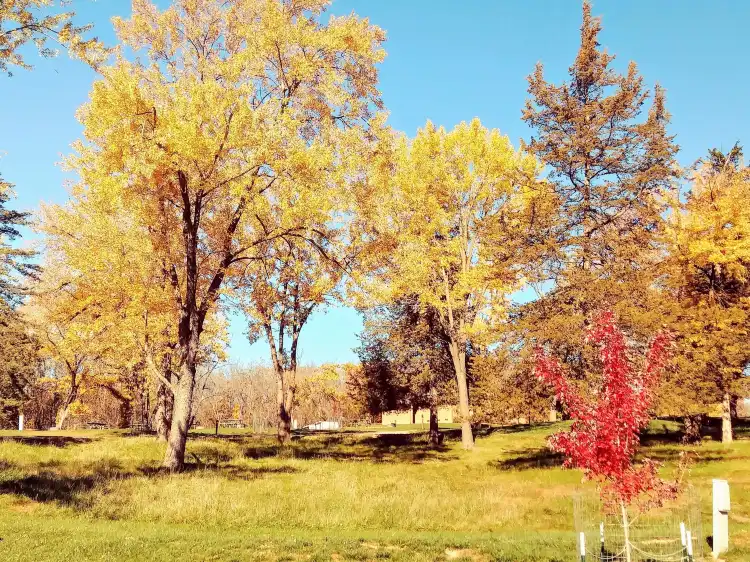 Davis County