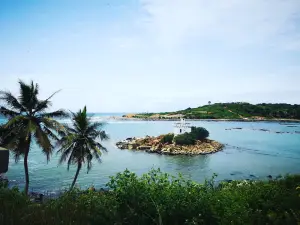 Ahanta Waves Surf School & Camp