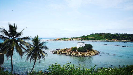 Ahanta Waves Surf School & Camp