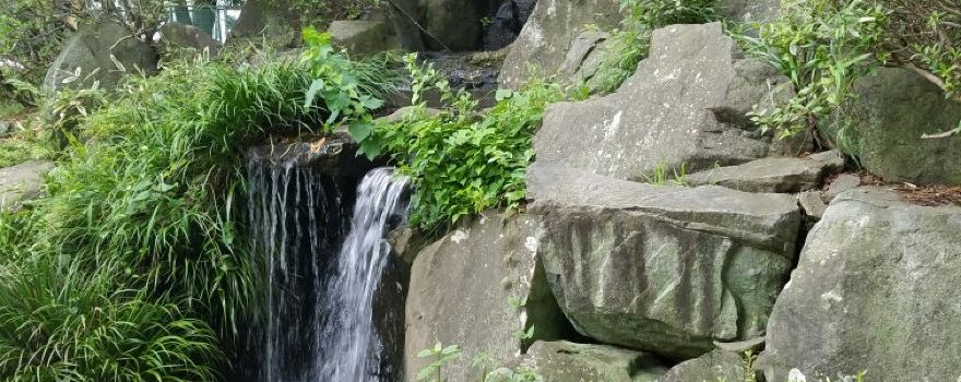 Koryo Park