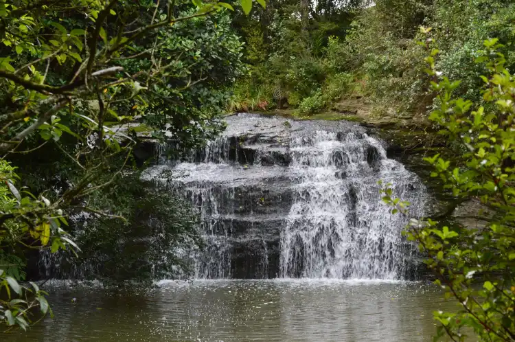 Hotels in der Nähe von Gills Scenic Reserve