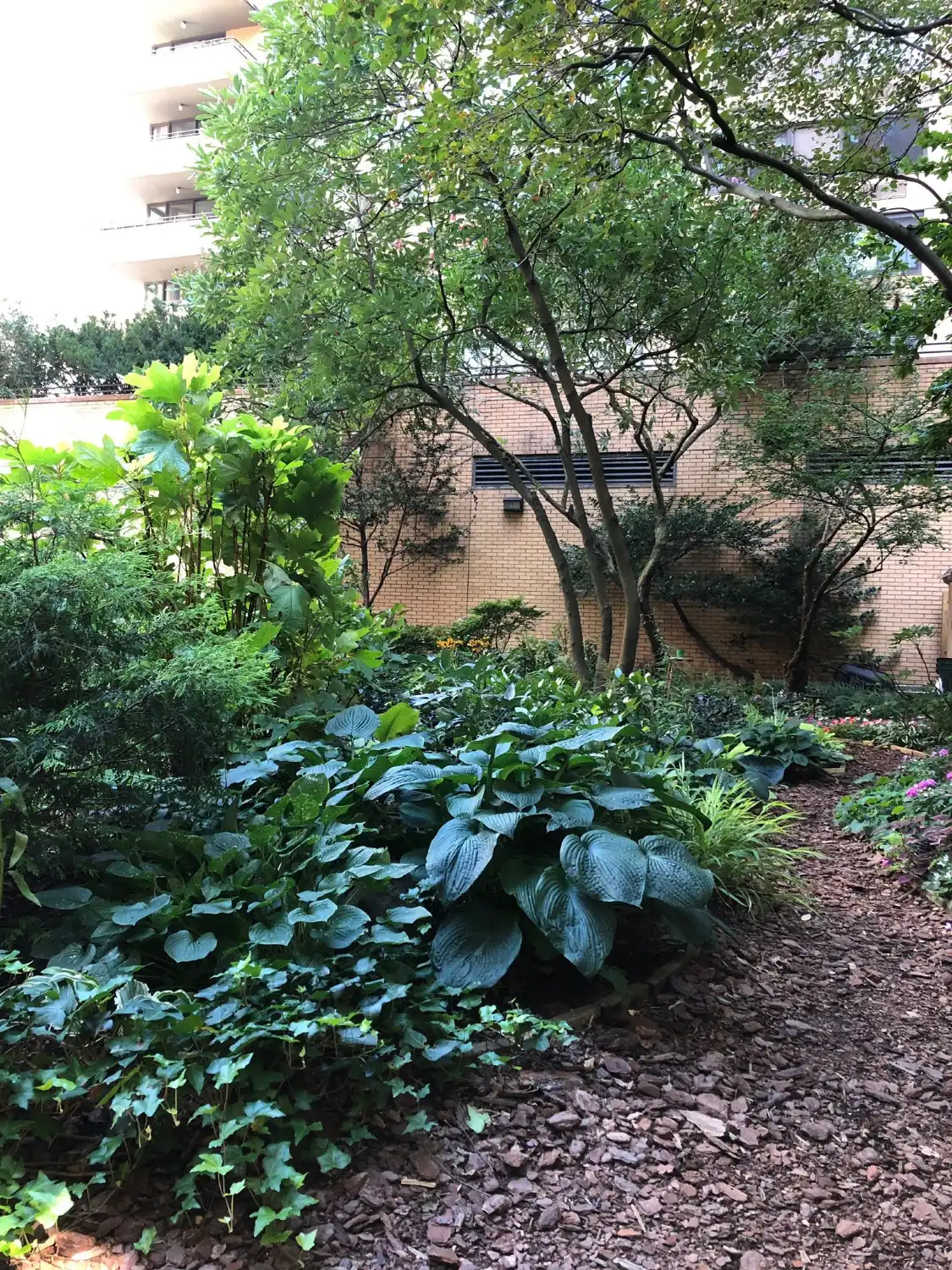 Hotel in zona The Lotus Garden