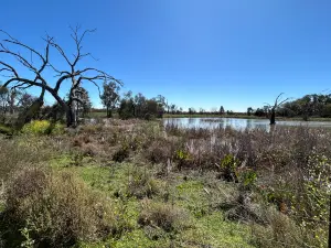 Tiger Bay Wetlands