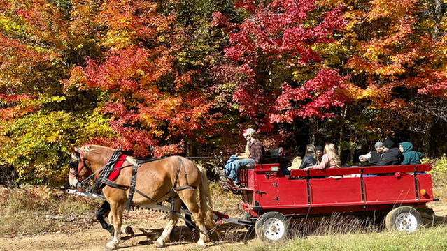 Back of Beyond Equine Centre