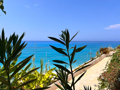 Avali Beach