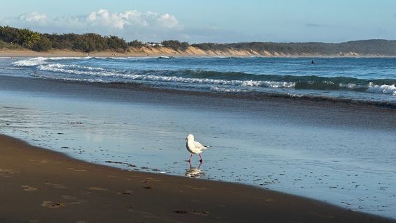 Agnes Water Main Beach