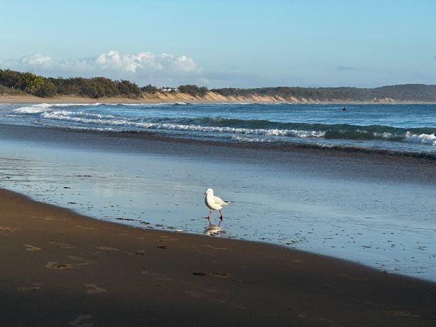 Agnes Water Main Beach