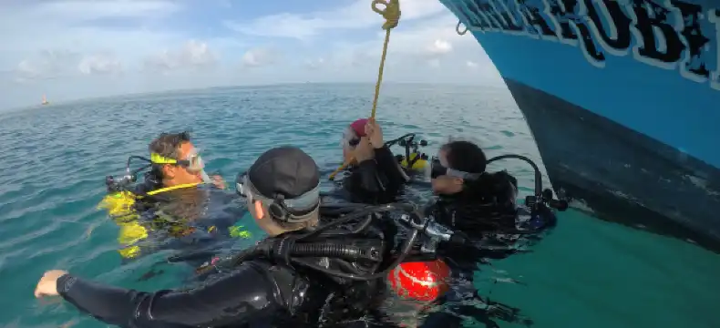 Hoteles en Túxpam de Rodríguez Cano