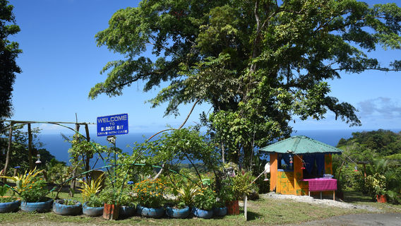 Shurland James Hummingbird Nature Park