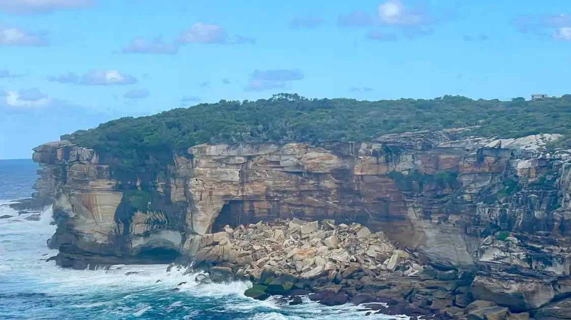 Hotels near Malabar Headland National Park