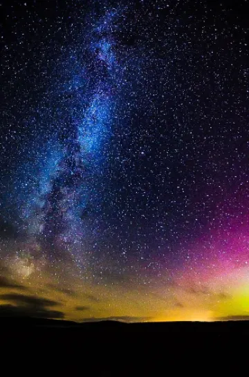 ニュートン・スチュワート