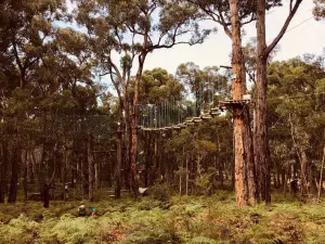 Treetops Adventure Yeodene Park
