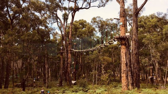 Treetops Adventure Yeodene Park