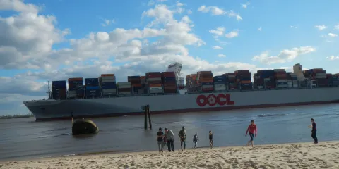 Blankenese Shipwrecks