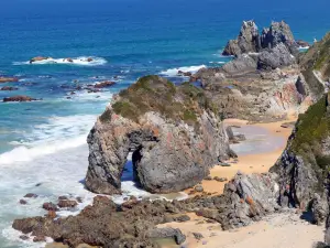 Horse Head Rock
