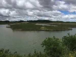 Reserva Natural de Los Sotos de Alfaro