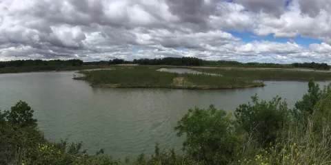 Reserva Natural de Los Sotos de Alfaro