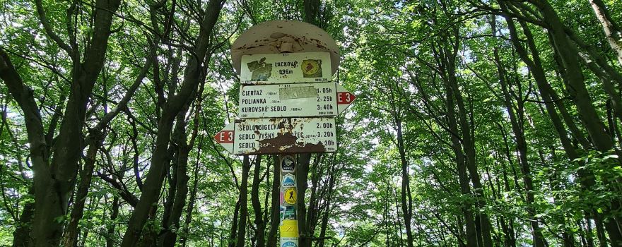Петрова