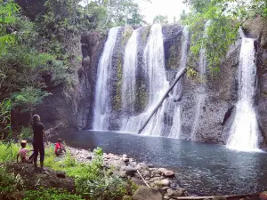 Air Terjun Kadadima, Laine