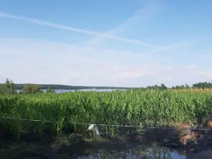 Wieża Widokowa w Dominicach