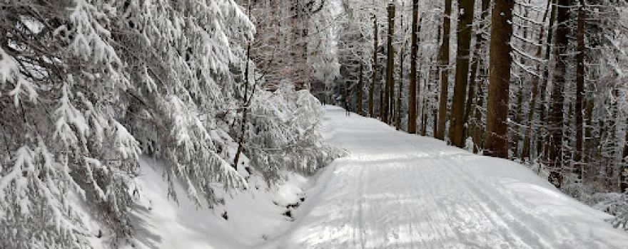Komáří vrch