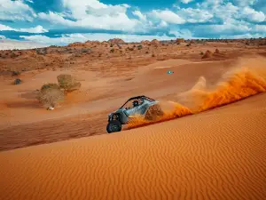 Mad Moose Rentals & Tours (Sand Hollow)