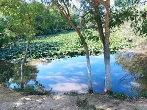 Animal Park Brabtia El Kala