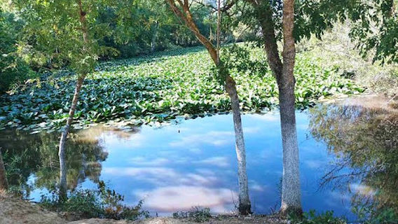 Animal Park Brabtia El Kala