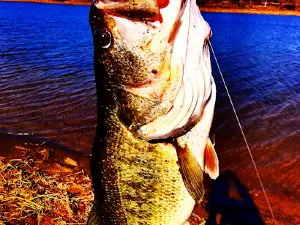 Chisholm Trail Park