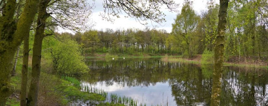 Heijkersbroek