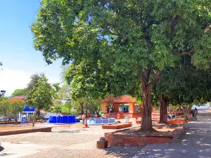 Central Park