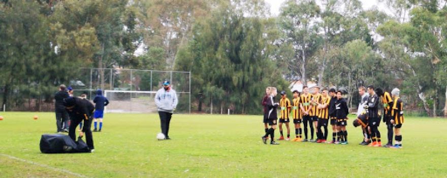 Athelstone Soccer Club (U6 to U8)