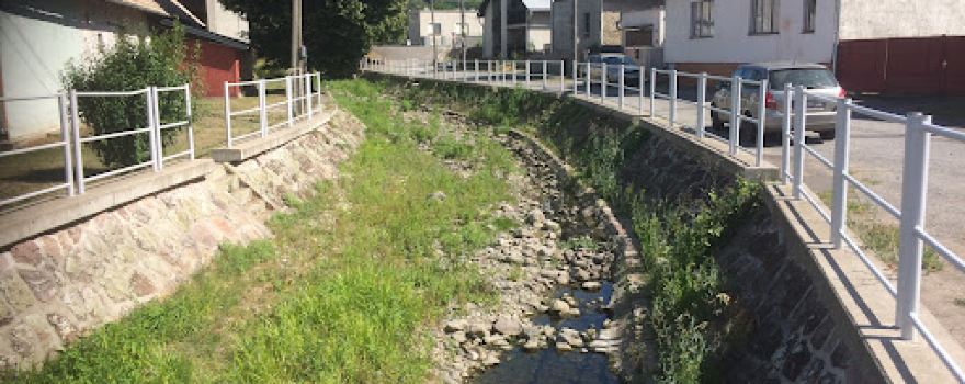 Voznica