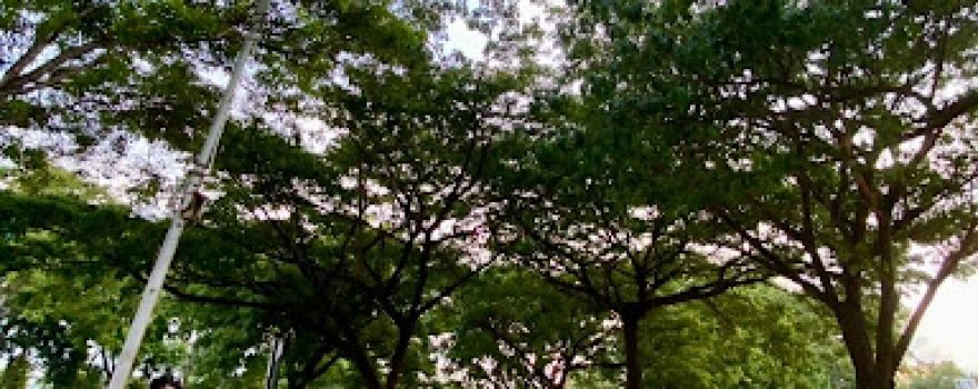 Taman Kota Tuban