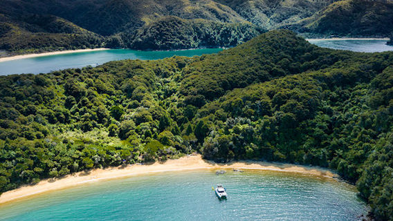 Abel Tasman Charters