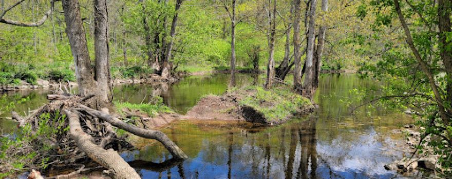 Tohickon Family Campground