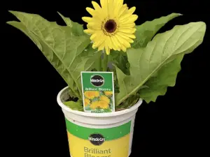 Sutherlands Home and Garden Club