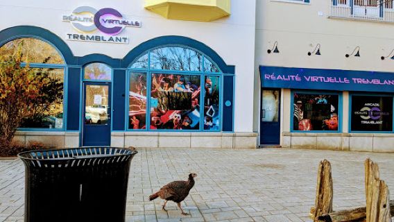 Arcade Virtual Reality Tremblant