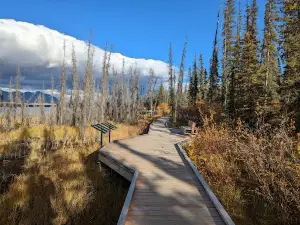 Pine Lake Campground