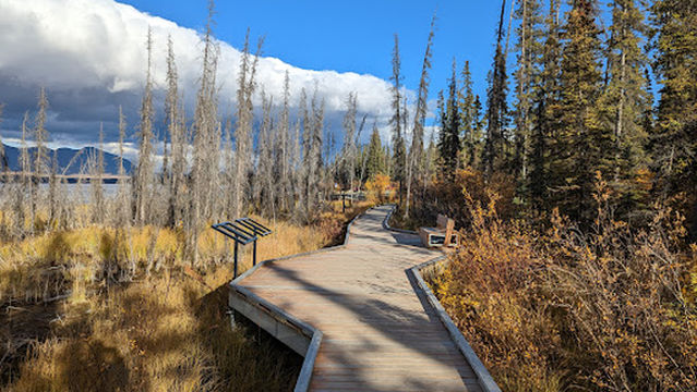 Pine Lake Campground